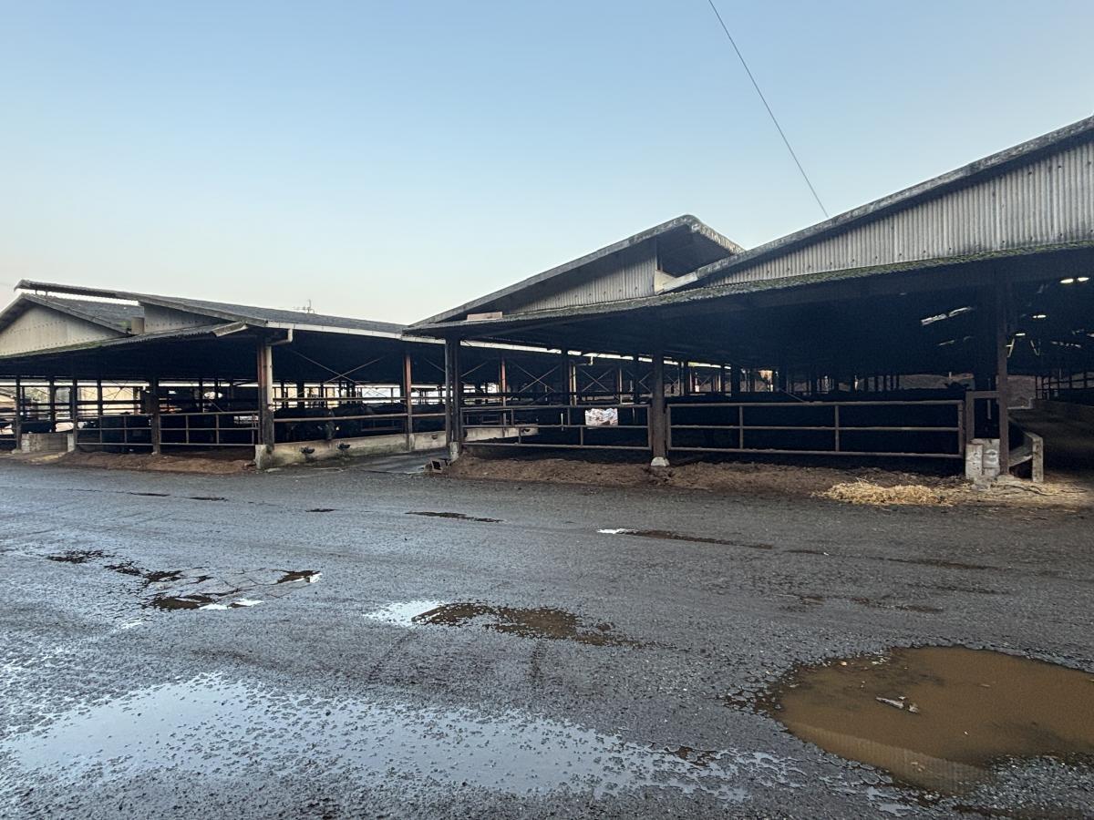 【福岡県】穂坂牧場　様の画像